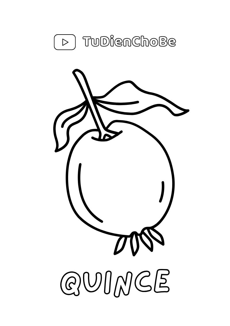 tranh tô màu quả xoài, tranh tô màu quả dâu tây, tranh tô màu quả nho, tranh tô màu thực phẩm cho bé, tranh tô màu mầm non, tranh tô màu tiểu học, tranh tô màu dễ thương cho bé