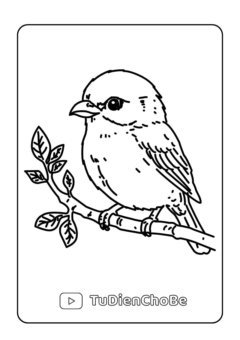 Tranh tô màu các loài chim cho bé, hình vẽ chim dễ thương, rõ nét, miễn phí tải về