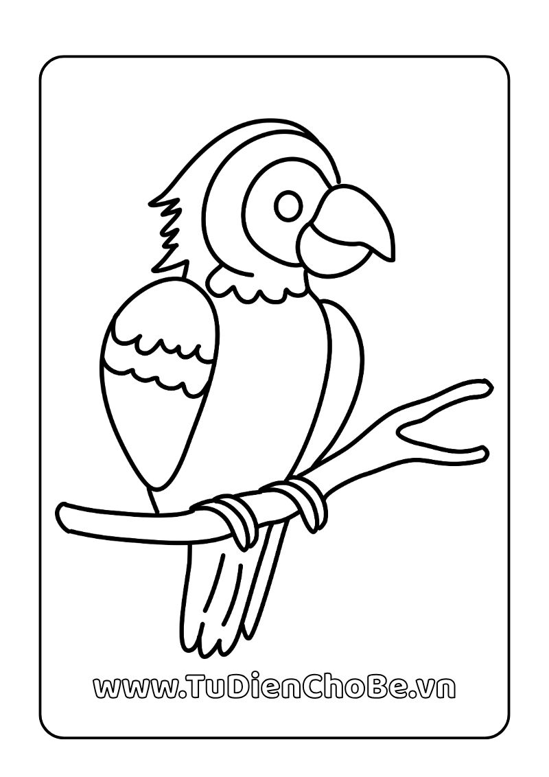 Tranh tô màu các loài chim cho bé, hình vẽ chim dễ thương, rõ nét, miễn phí tải về