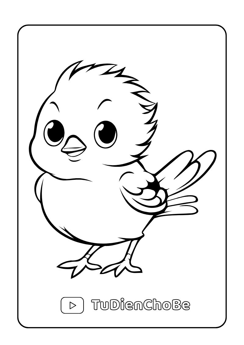 Tranh tô màu các loài chim cho bé, hình vẽ chim dễ thương, rõ nét, miễn phí tải về