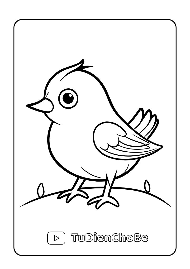 Tranh tô màu các loài chim cho bé, hình vẽ chim dễ thương, rõ nét, miễn phí tải về