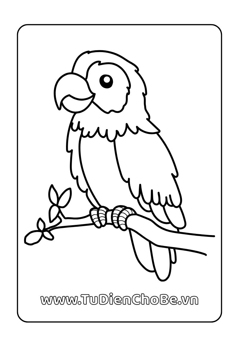 Tranh tô màu các loài chim cho bé, hình vẽ chim dễ thương, rõ nét, miễn phí tải về