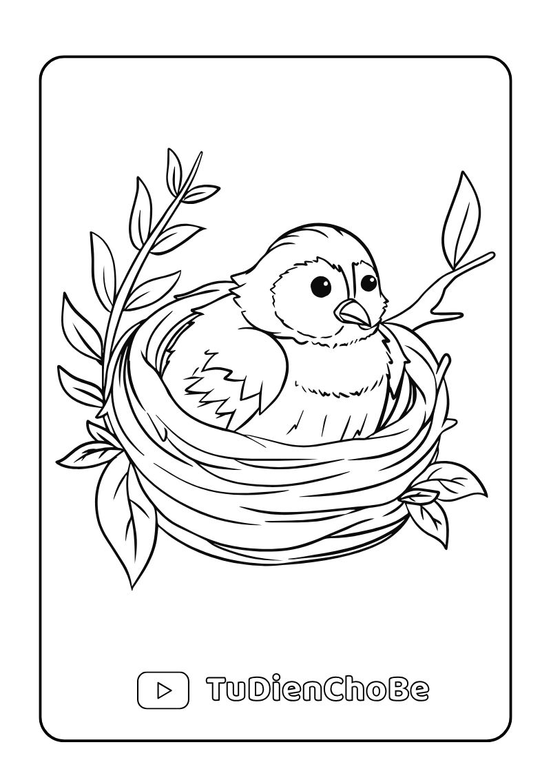 Tranh tô màu các loài chim cho bé, hình vẽ chim dễ thương, rõ nét, miễn phí tải về