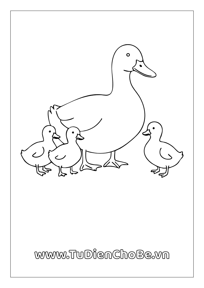 Tranh tô màu con vịt dễ thương cho bé tập tô và học về động vật quanh ta