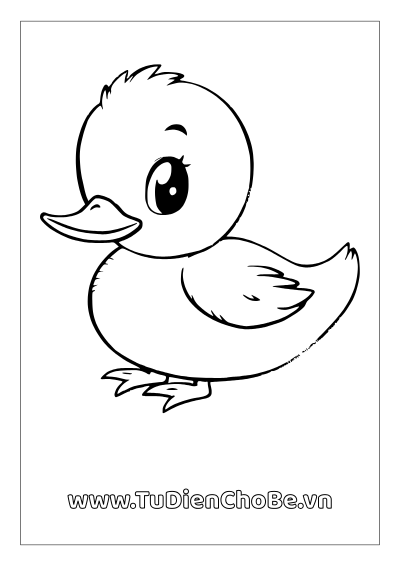 Tranh tô màu con vịt dễ thương cho bé tập tô và học về động vật quanh ta